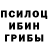 Псилоцибиновые грибы Psilocybe Vlad Lomonosov