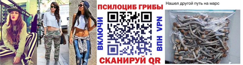 купить наркотик  это какой сайт  Псилоцибиновые грибы Magic Shrooms  Красный Кут 