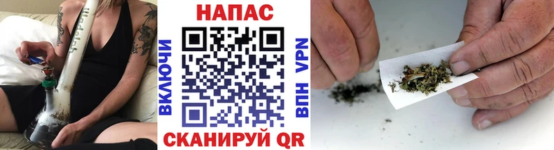 Бошки Шишки семена  как найти наркотики  Красный Кут 